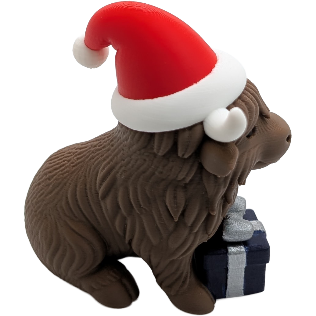 Highland Cow With Hand Painted Gift