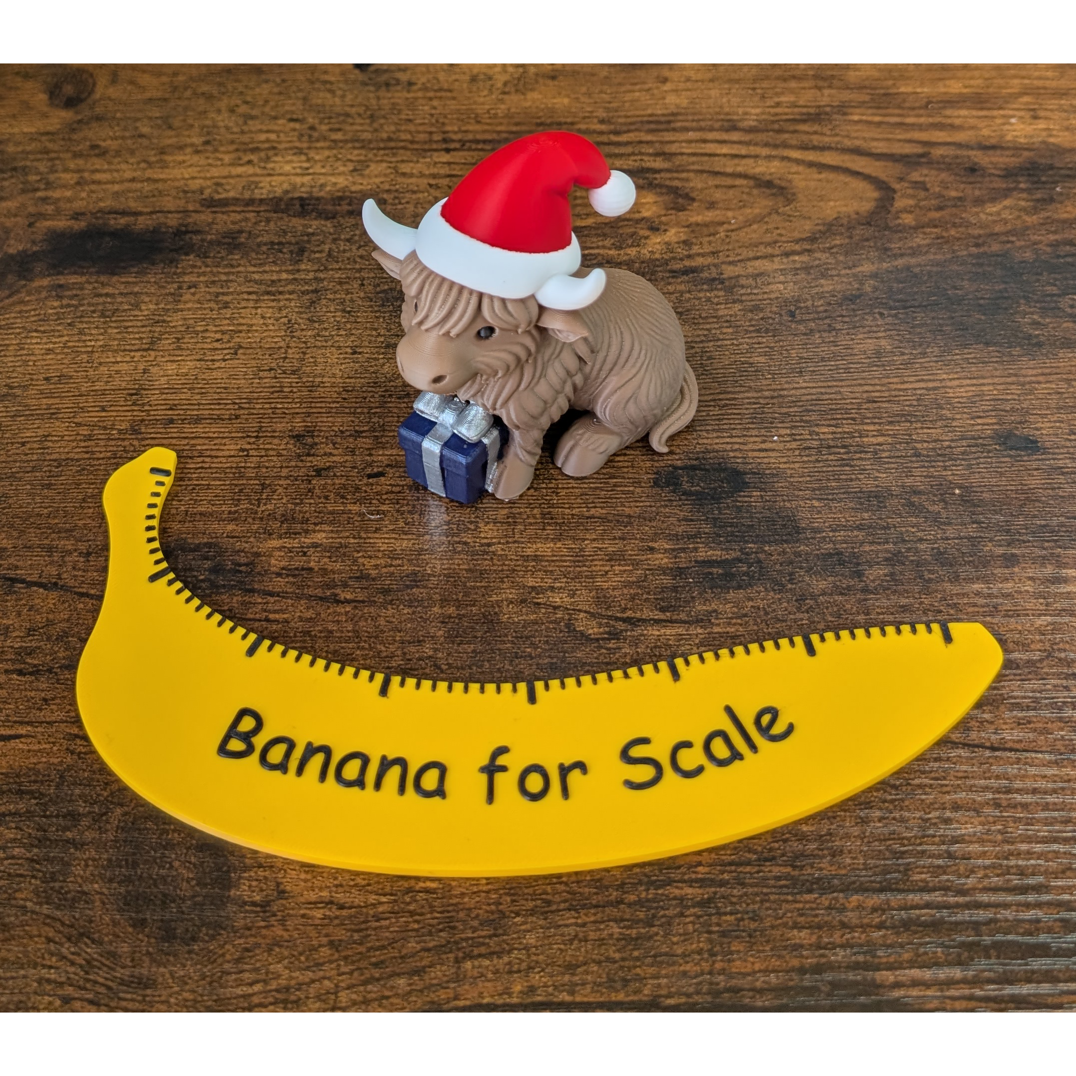 Highland Cow With Hand Painted Gift