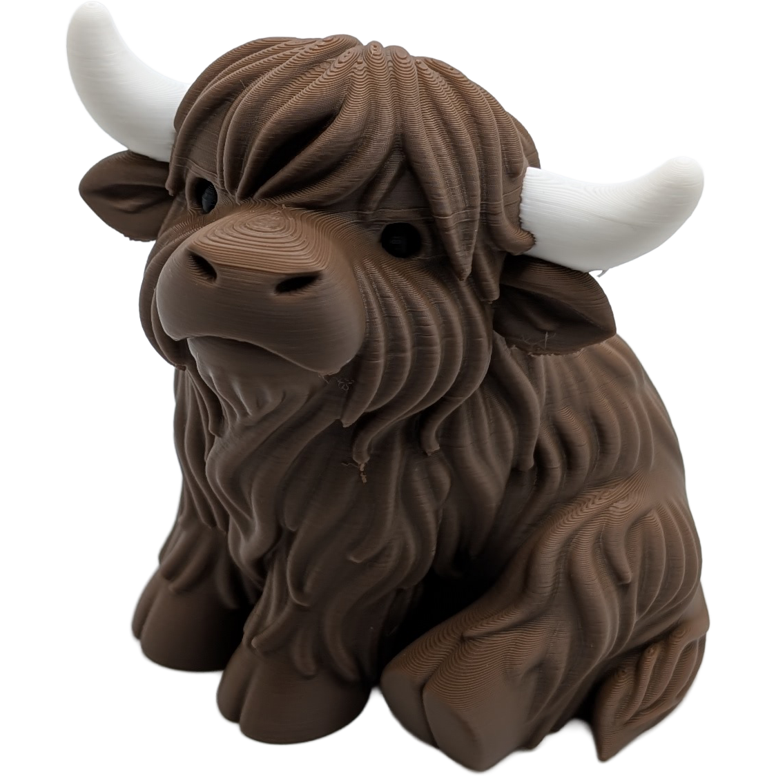 Sitting Highland Cow