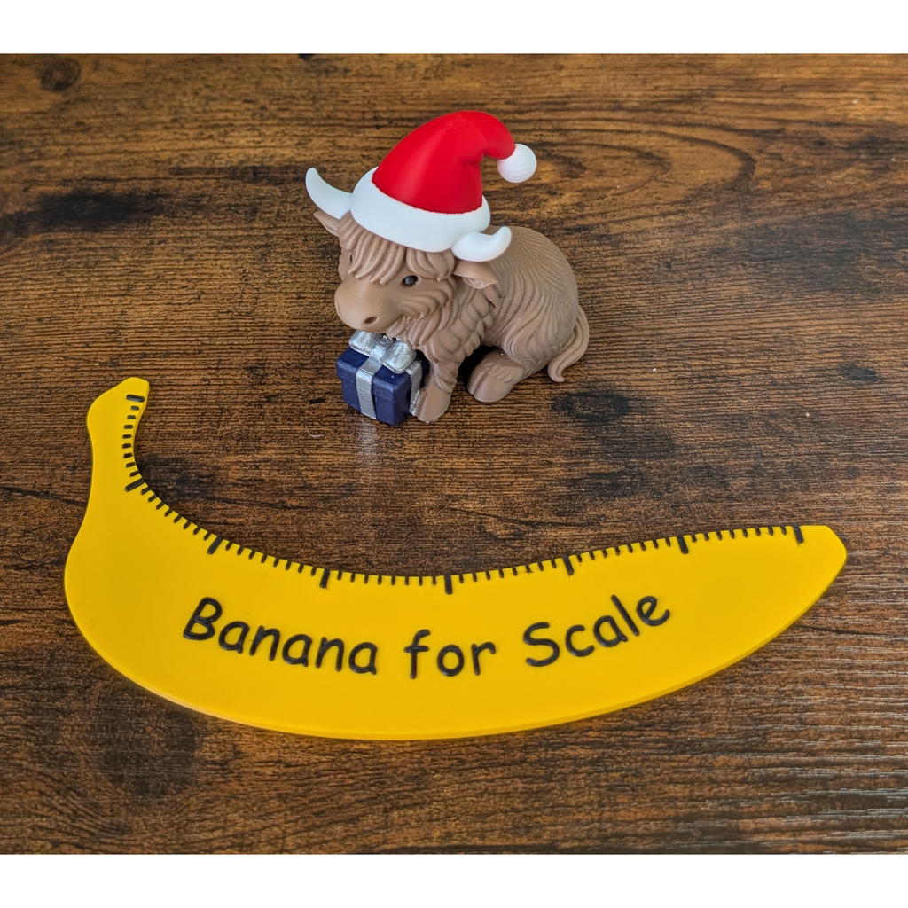 Highland Cow With Hand Painted Gift