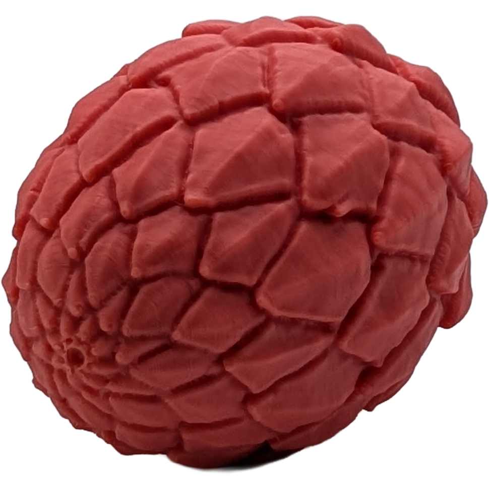 Dragon Egg